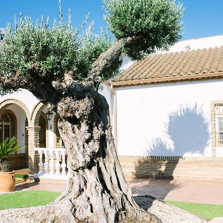 Casa rural El Olivo de Córdoba Exterior foto