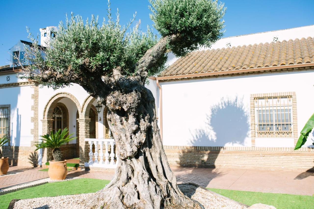 Casa rural El Olivo de Córdoba Exterior foto